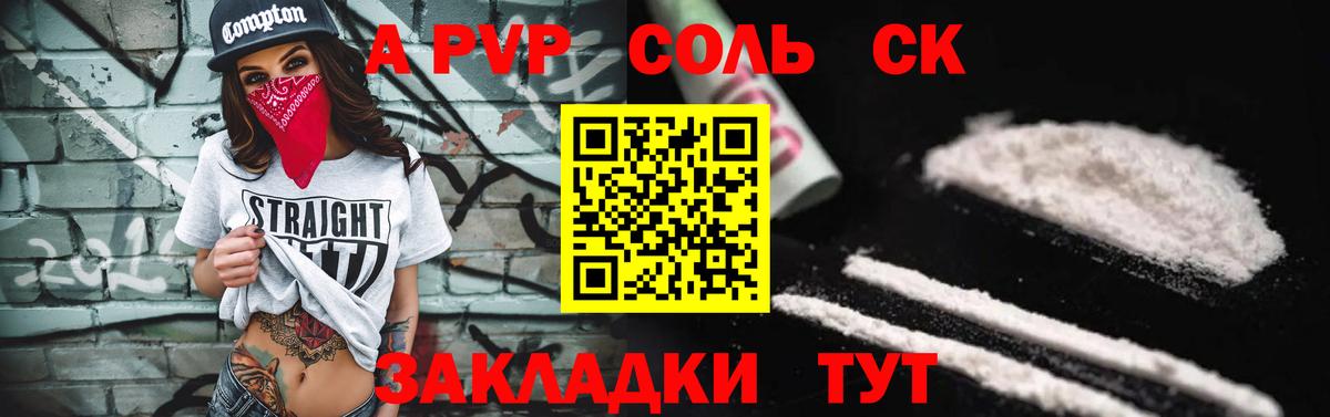 Альфа ПВП СК Грозный