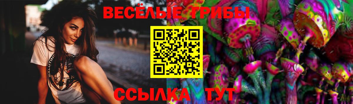 Грозный  Галлюциногенные грибы MAGIC MUSHROOMS  Псилоцибиновые грибы Psilocybine cubensis  Вход с VPN 